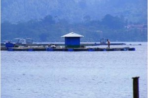 Waduk Darma